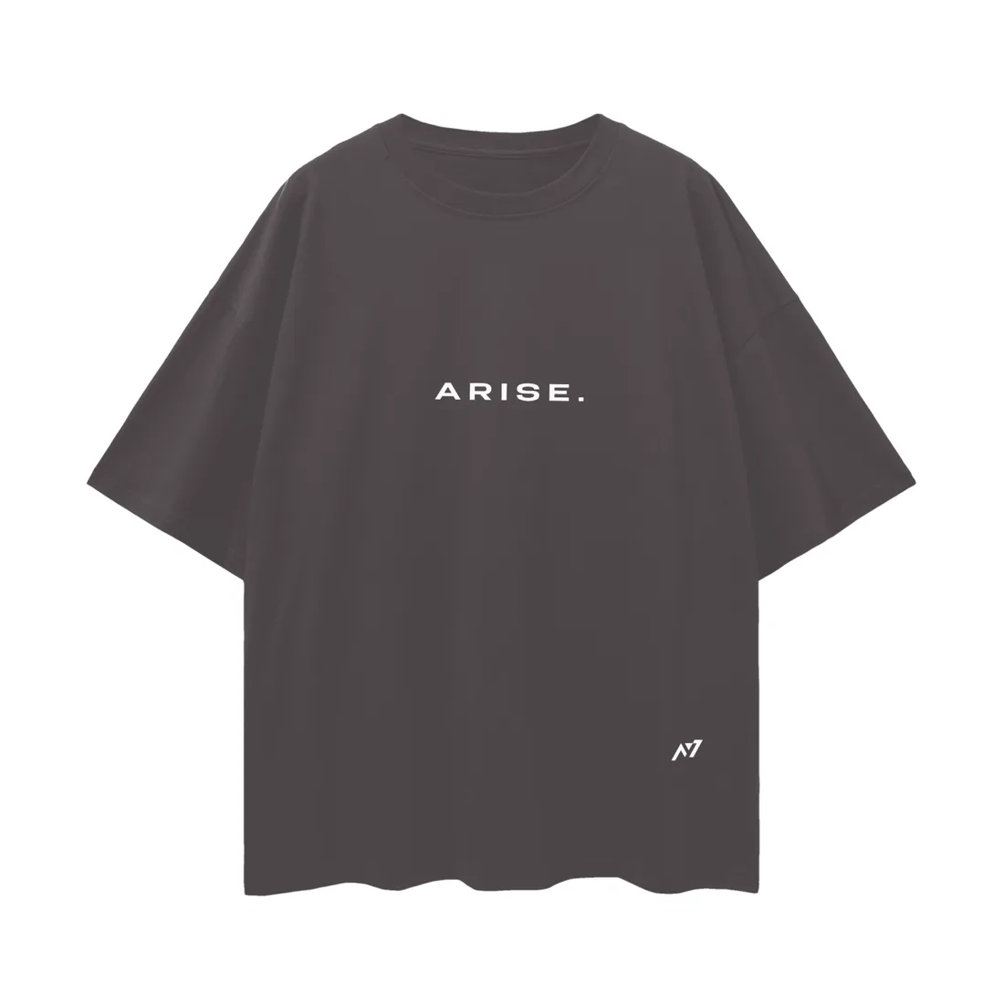 Camiseta Oversized — Rei das Formigas — imagem 3